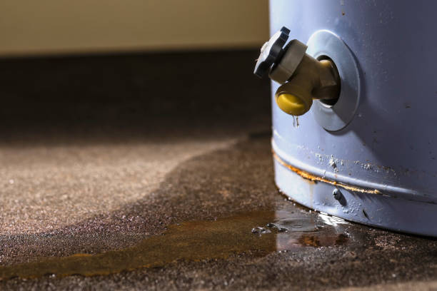 Best 24/7 water damage repair  in Ben Bolt, TX