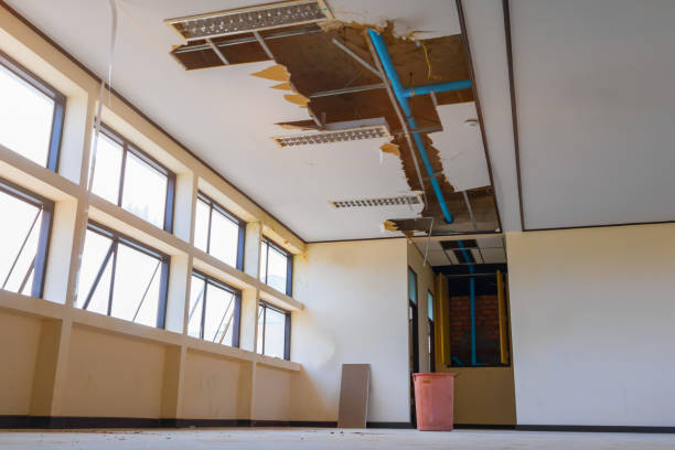 Best Water damage restoration near me  in Ben Bolt, TX