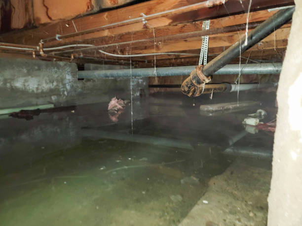  Ben Bolt, TX Water damage restoration Pros