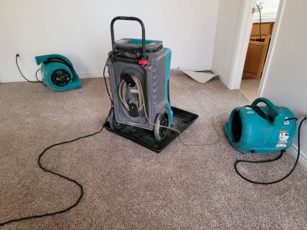 Best Sewage cleanup and water damage restoration  in Ben Bolt, TX