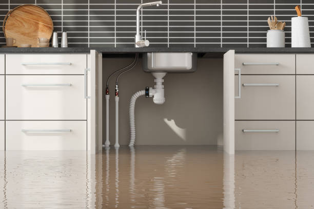 Best Water damage restoration near me  in Ben Bolt, TX